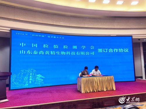 2024年科創(chuàng)中國(guó)技術(shù)服務(wù)大會(huì)在泰安成功舉辦，推動(dòng)技術(shù)賦能與產(chǎn)業(yè)升級(jí)