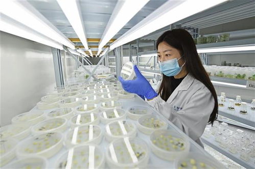 高科技加持，技術(shù)服務(wù)助力農(nóng)作物品質(zhì)升級(jí)